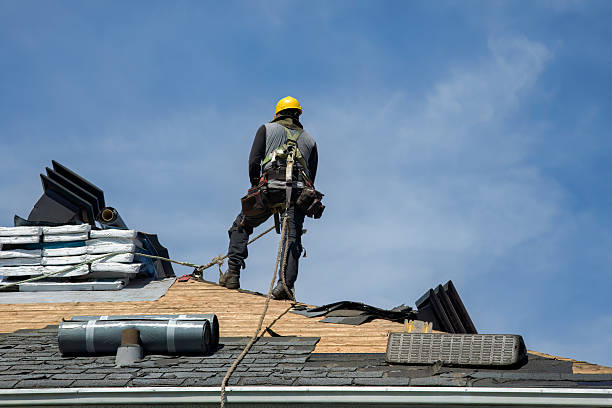Professional Roof Replacement technician working in Bryant, IN